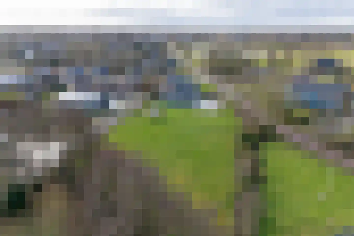 Wopkeloane 2 Harkema thumbnail 67