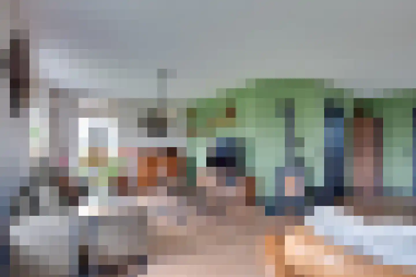 Wopkeloane 2 Harkema thumbnail 9