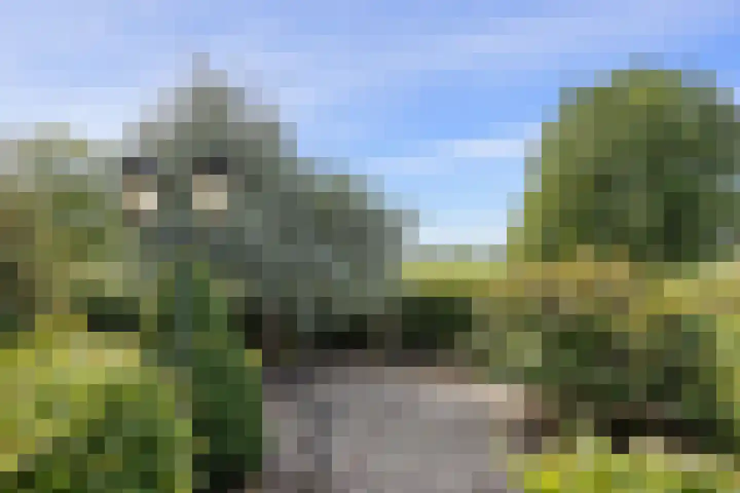 Wordenseweg 21 Velddriel thumbnail 44