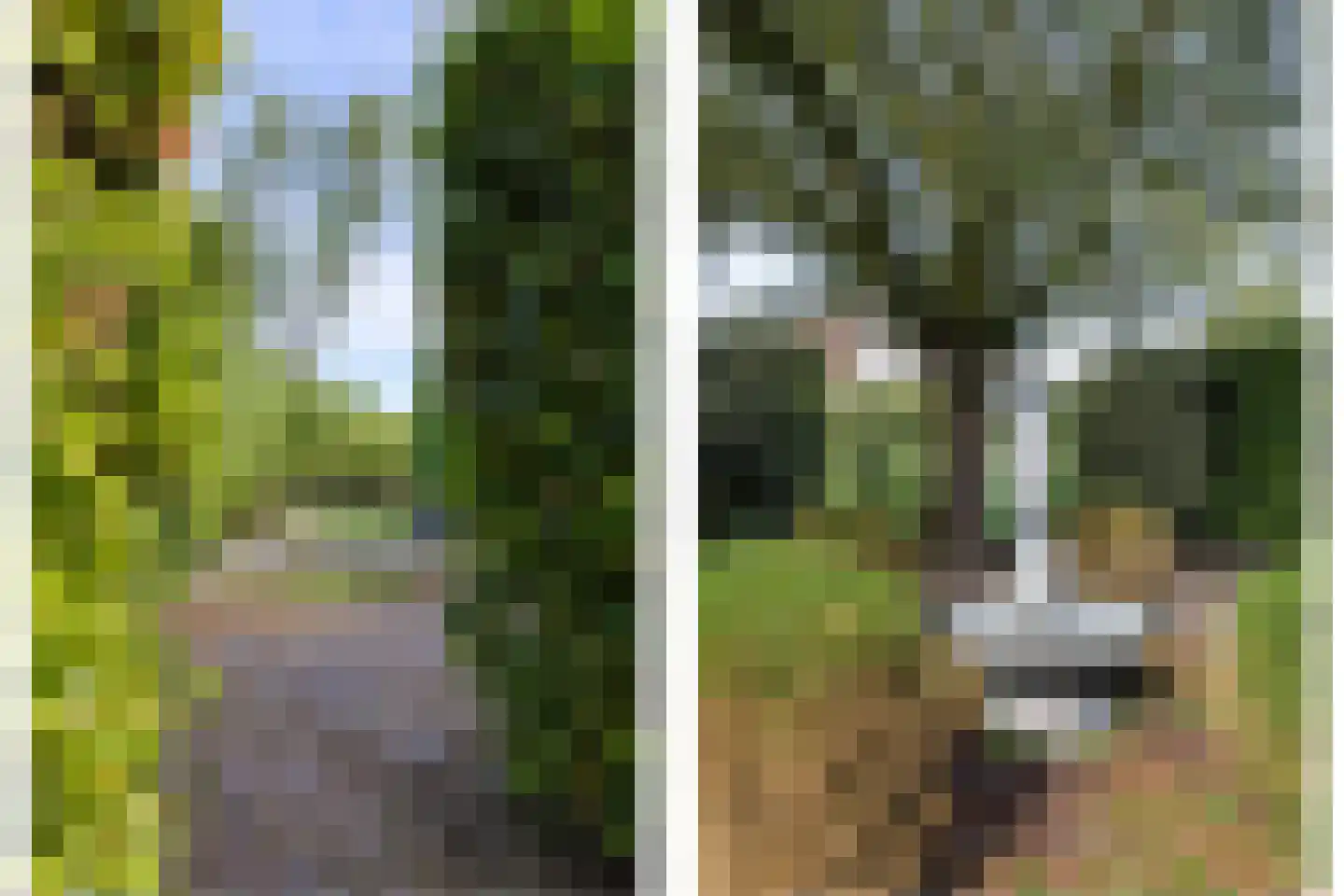 Wordenseweg 21 Velddriel thumbnail 48