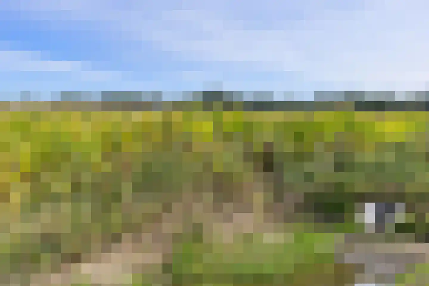 Wordenseweg 21 Velddriel thumbnail 54