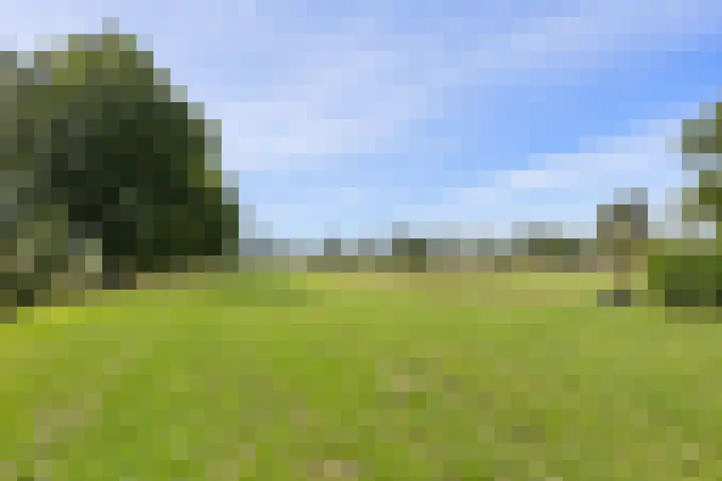 Wordenseweg 21 Velddriel thumbnail 55