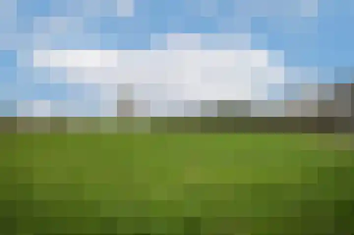 Wordenseweg 29 Velddriel thumbnail 45