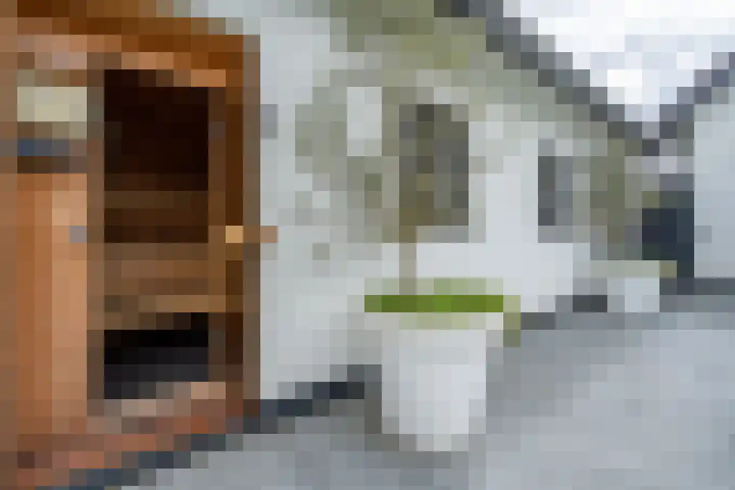 Wordragensestraat 42 Ammerzoden thumbnail 19