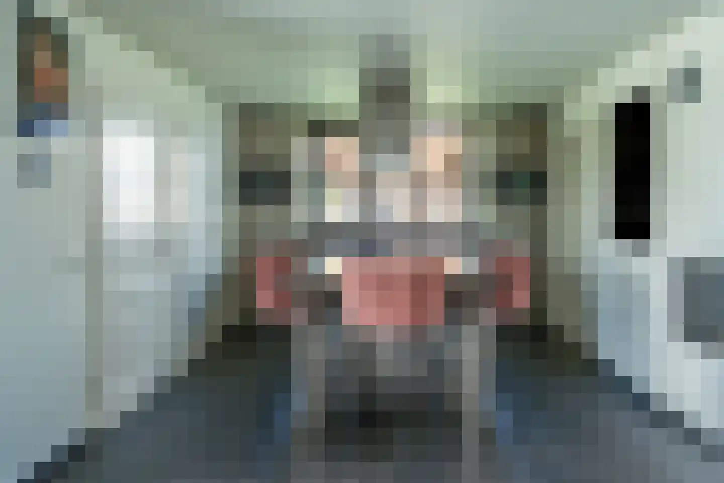 Wordragensestraat 42 Ammerzoden thumbnail 36