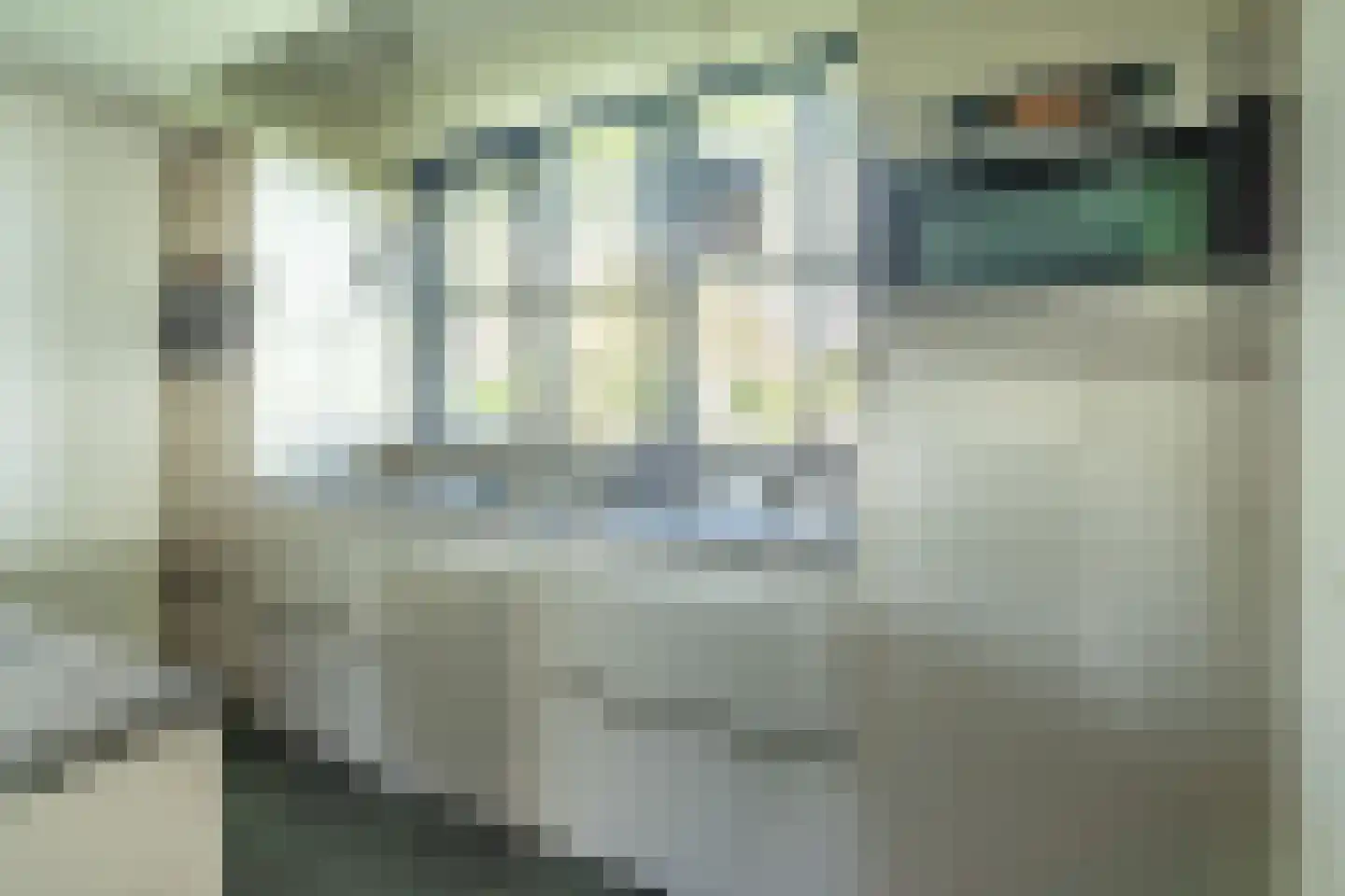Wordragensestraat 42 Ammerzoden thumbnail 39