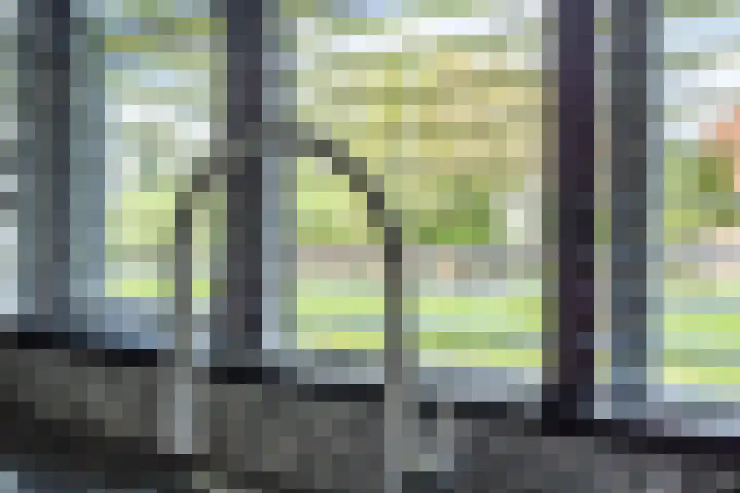 Wordragensestraat 42 Ammerzoden thumbnail 40