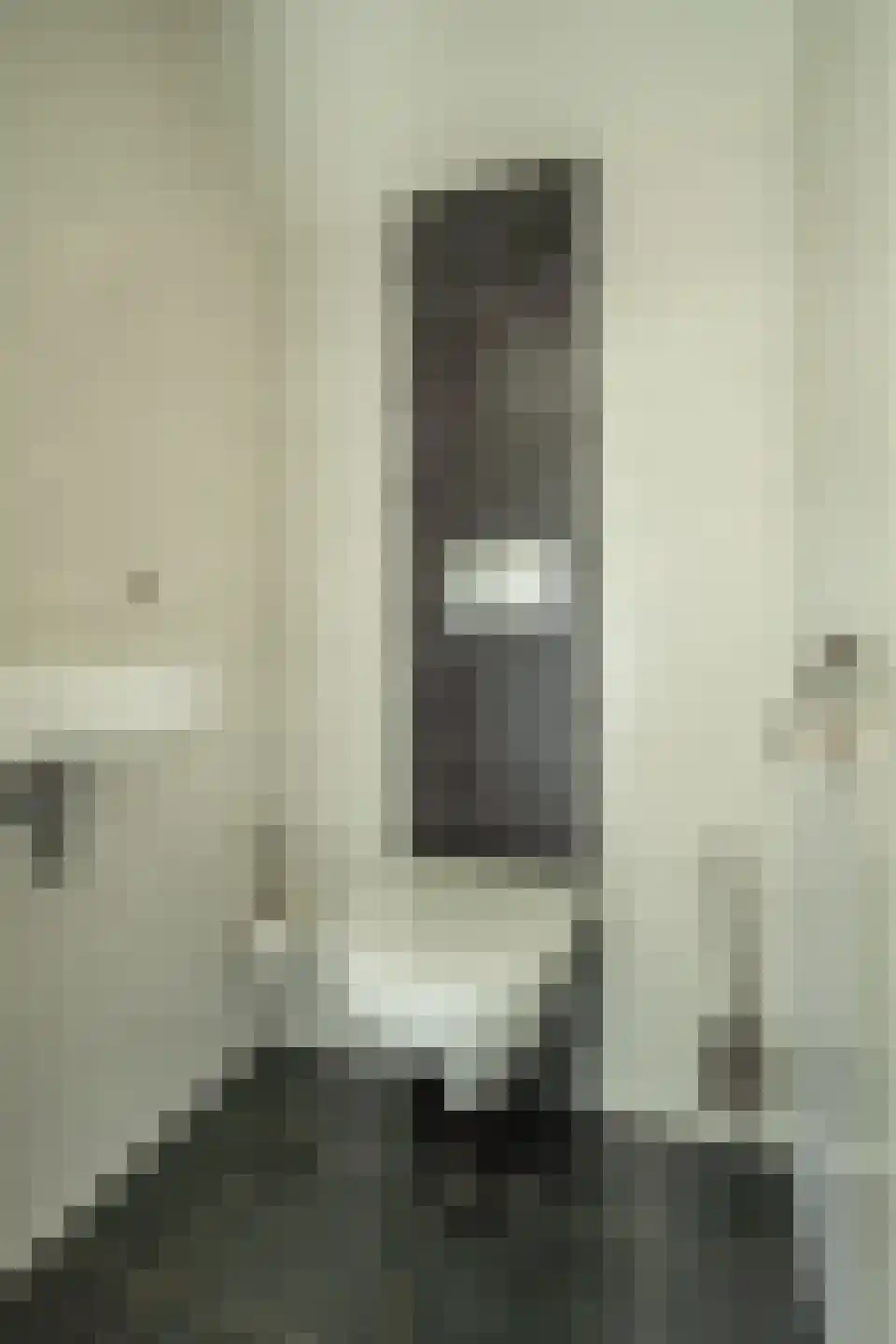 Wordragensestraat 42 Ammerzoden thumbnail 57