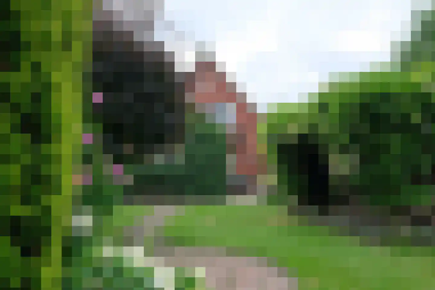 Worker Landen 16 a Bornerbroek thumbnail 27