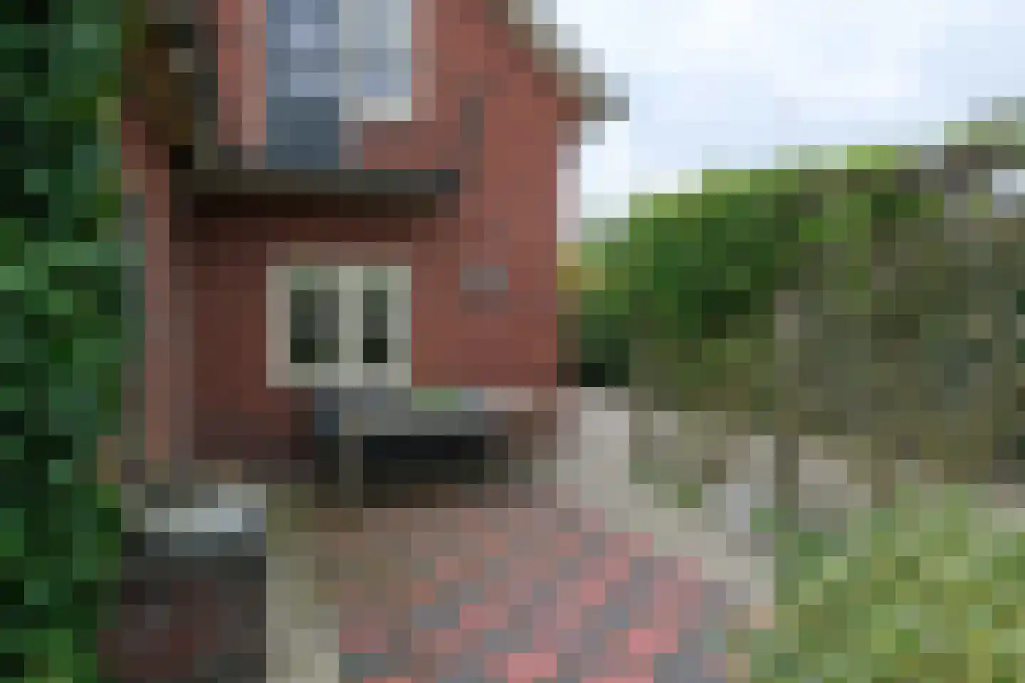 Worker Landen 16 a Bornerbroek thumbnail 28