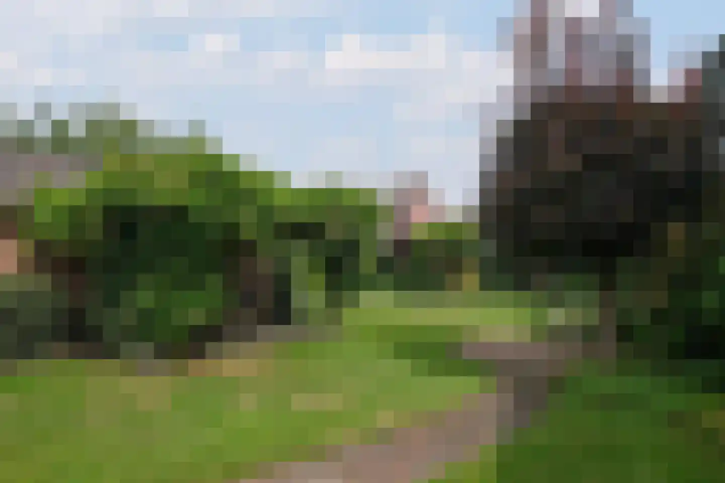 Worker Landen 16 a Bornerbroek thumbnail 6