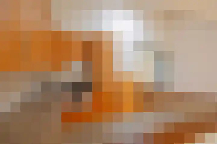 Workumer Aak 3 Velserbroek thumbnail 11