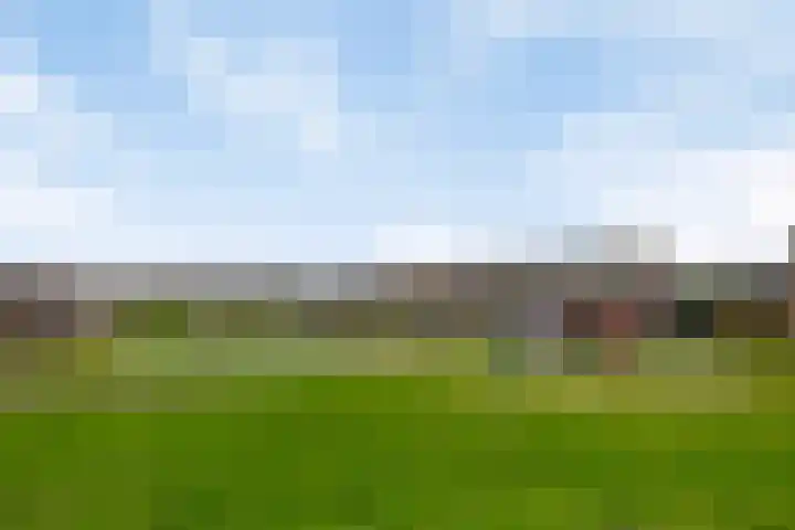Workumer Aak 3 Velserbroek thumbnail 19