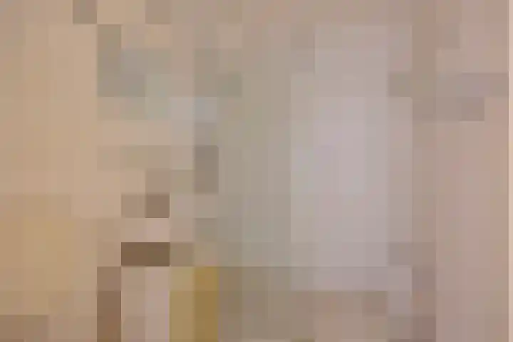 Workumer Aak 3 Velserbroek thumbnail 5