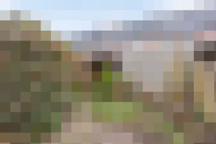 Workumer Aak 3 Velserbroek thumbnail 6