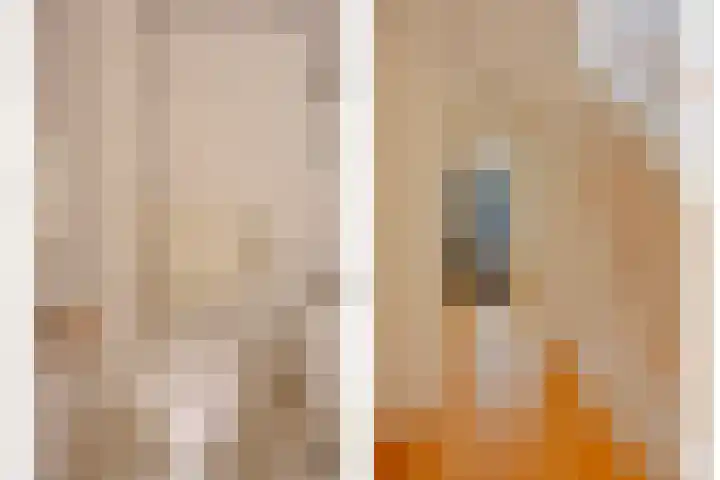 Workumer Aak 3 Velserbroek thumbnail 7