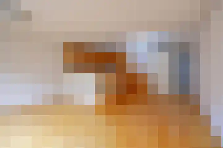Workumer Aak 3 Velserbroek thumbnail 9