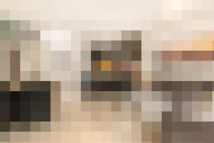 Workumer Aak 4 Velserbroek thumbnail 17
