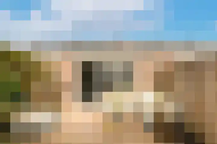Workumer Aak 4 Velserbroek thumbnail 21