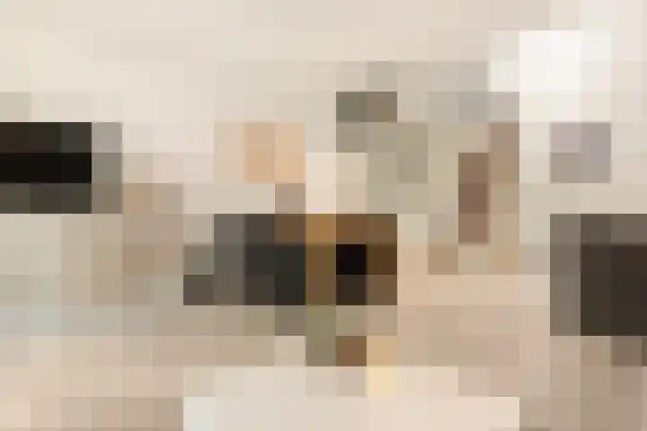 Workumer Aak 4 Velserbroek thumbnail 24