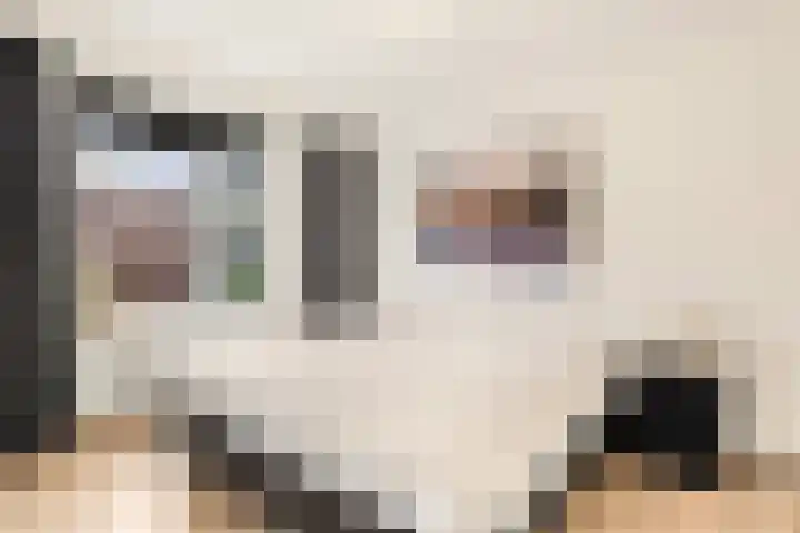 Workumer Aak 4 Velserbroek thumbnail 29