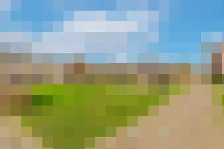 Workumer Aak 4 Velserbroek thumbnail 42