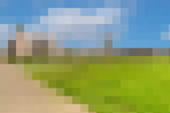 Workumer Aak 4 Velserbroek thumbnail 43