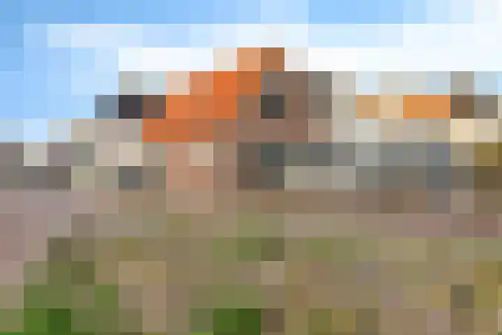 Workumerdijk 3 Makkum thumbnail 29