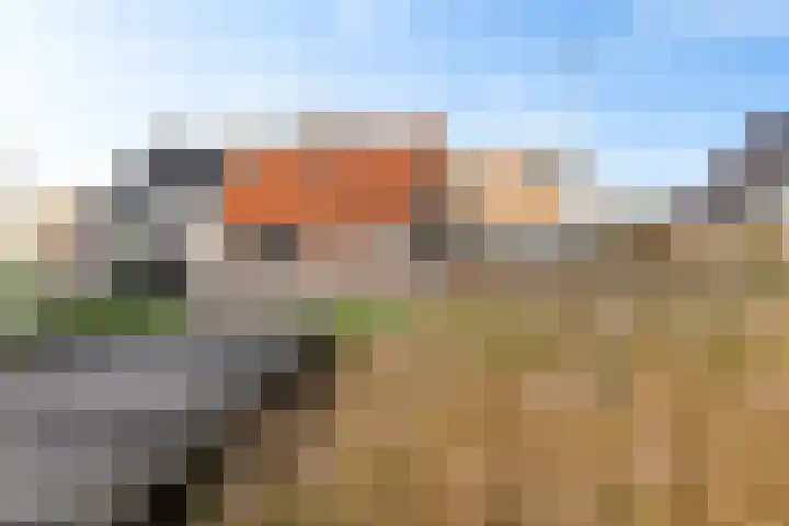 Workumerdijk 3 Makkum thumbnail 30