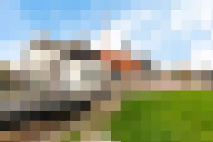 Workumerdijk 3 Makkum thumbnail 37