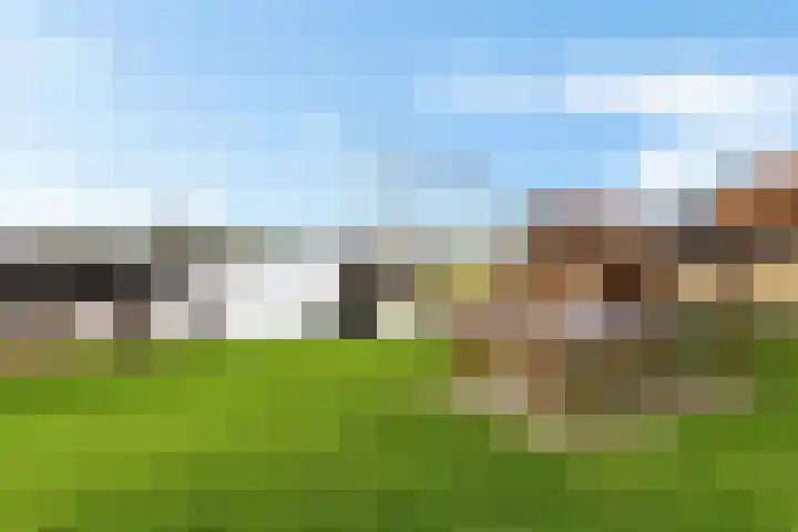 Workumerdijk 3 Makkum thumbnail 38