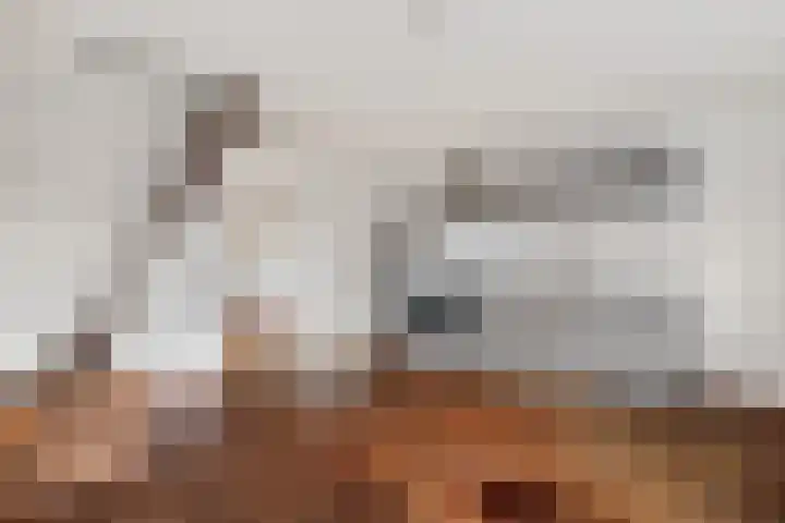 Workumerdijk 3 Makkum thumbnail 6