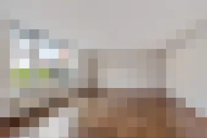 Workumerdijk 3 Makkum thumbnail 9