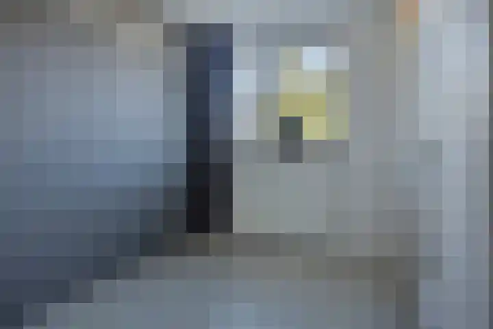 Workumstraat 27 Emmeloord thumbnail 31