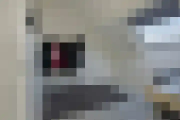 Workumstraat 27 Emmeloord thumbnail 37