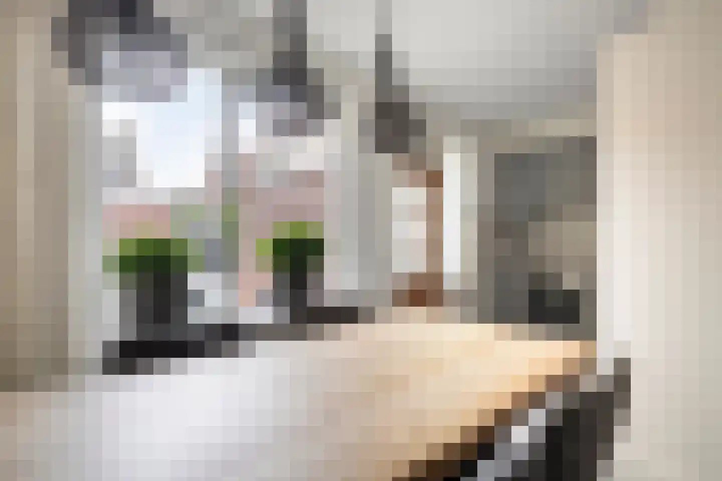 Workumstraat 37 Emmeloord thumbnail 12