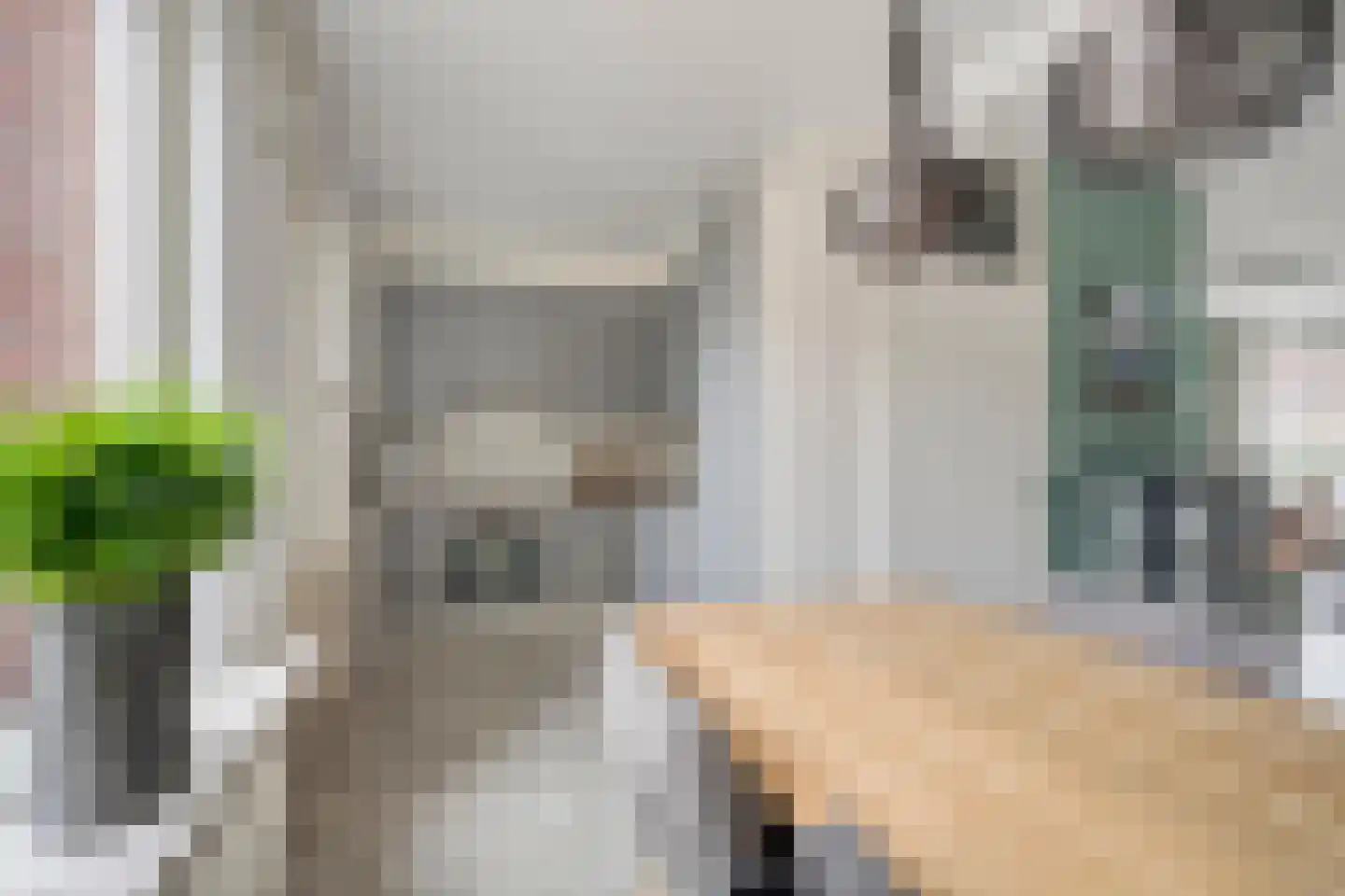 Workumstraat 37 Emmeloord thumbnail 13