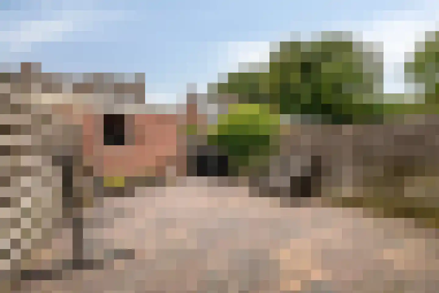 Workumstraat 37 Emmeloord thumbnail 34