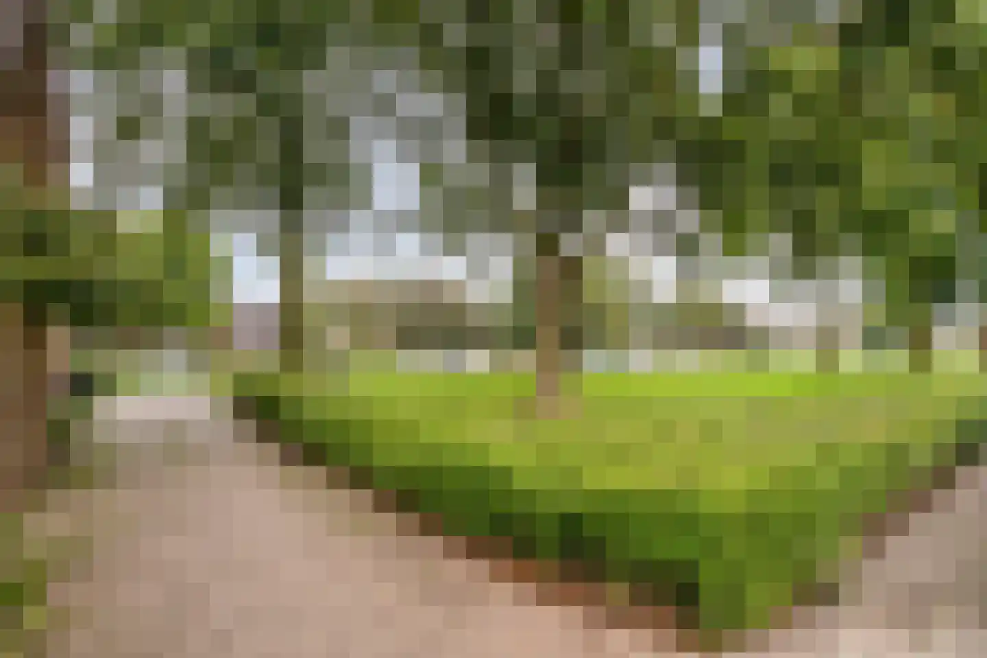 Workumstraat 37 Emmeloord thumbnail 40