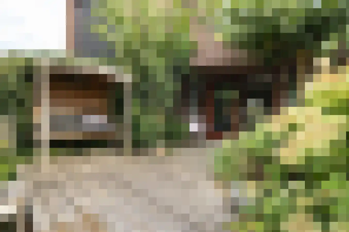 Workumstraat 39 Lelystad thumbnail 32