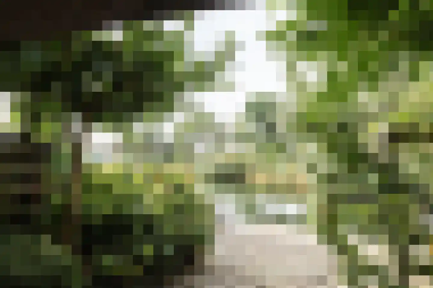 Workumstraat 39 Lelystad thumbnail 36