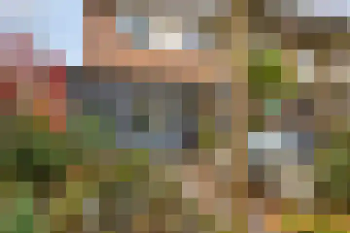 Workumstraat 43 Emmeloord thumbnail 29