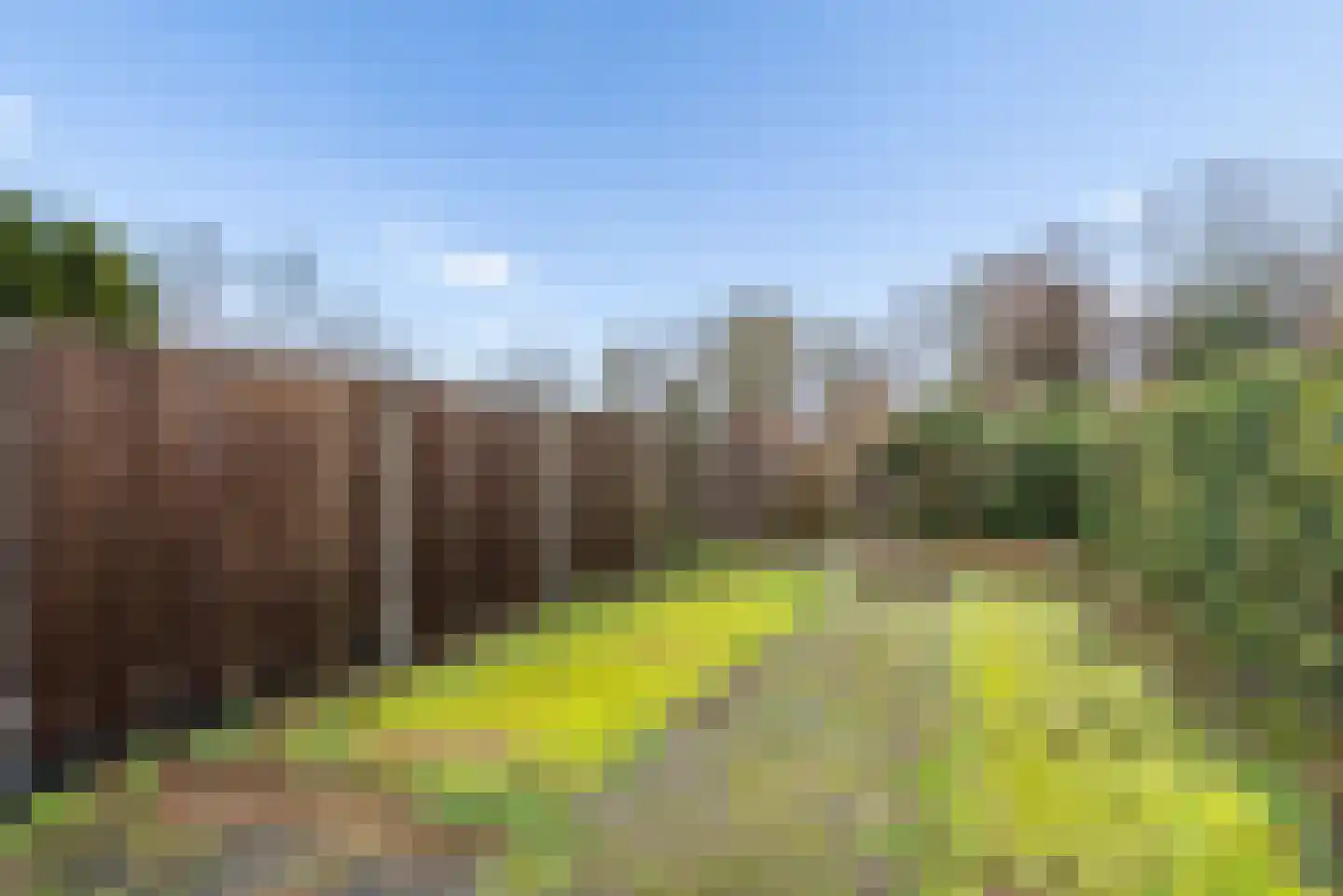Wormer 8 Lelystad thumbnail 22