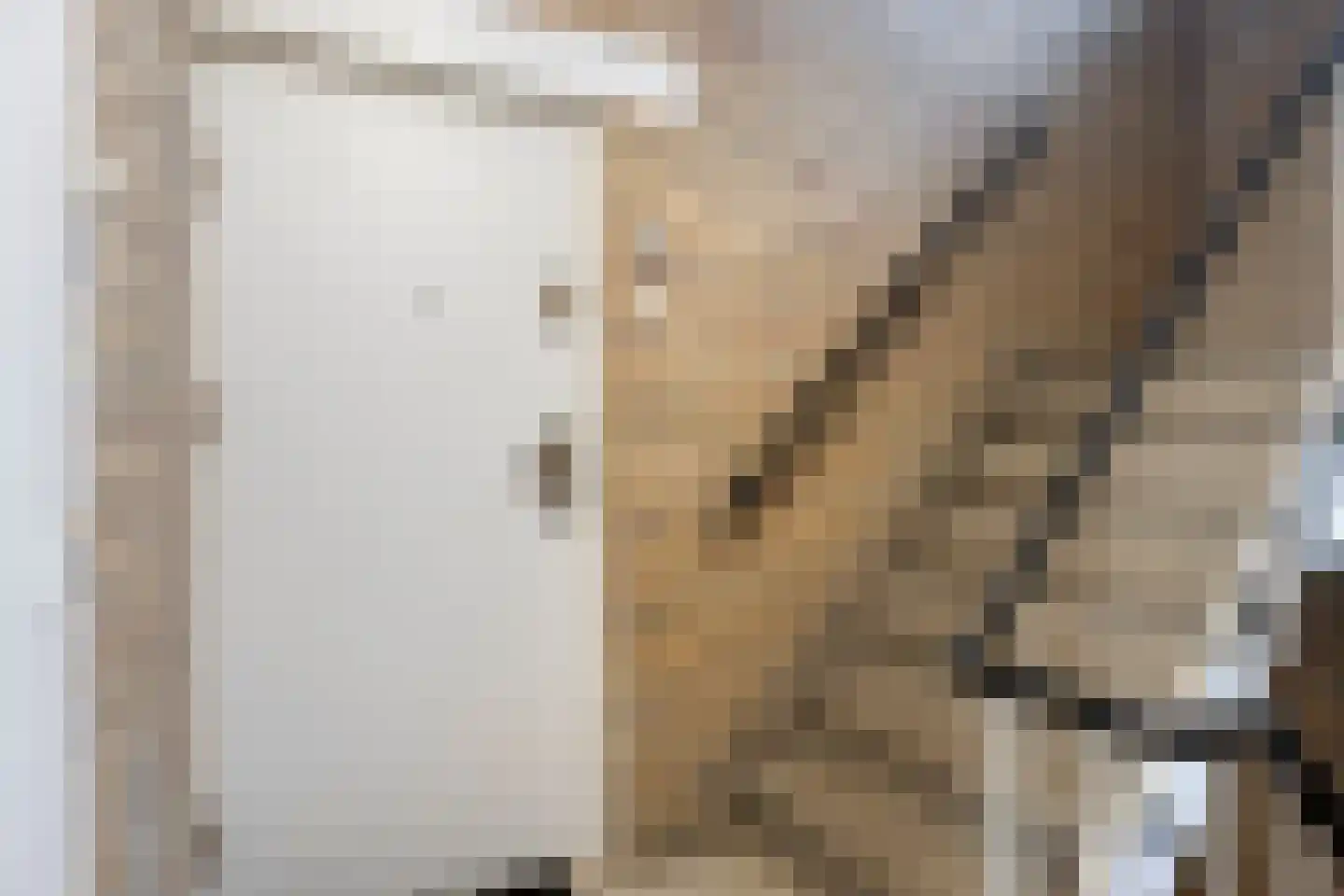 Wormerplein 101 Purmerend thumbnail 13