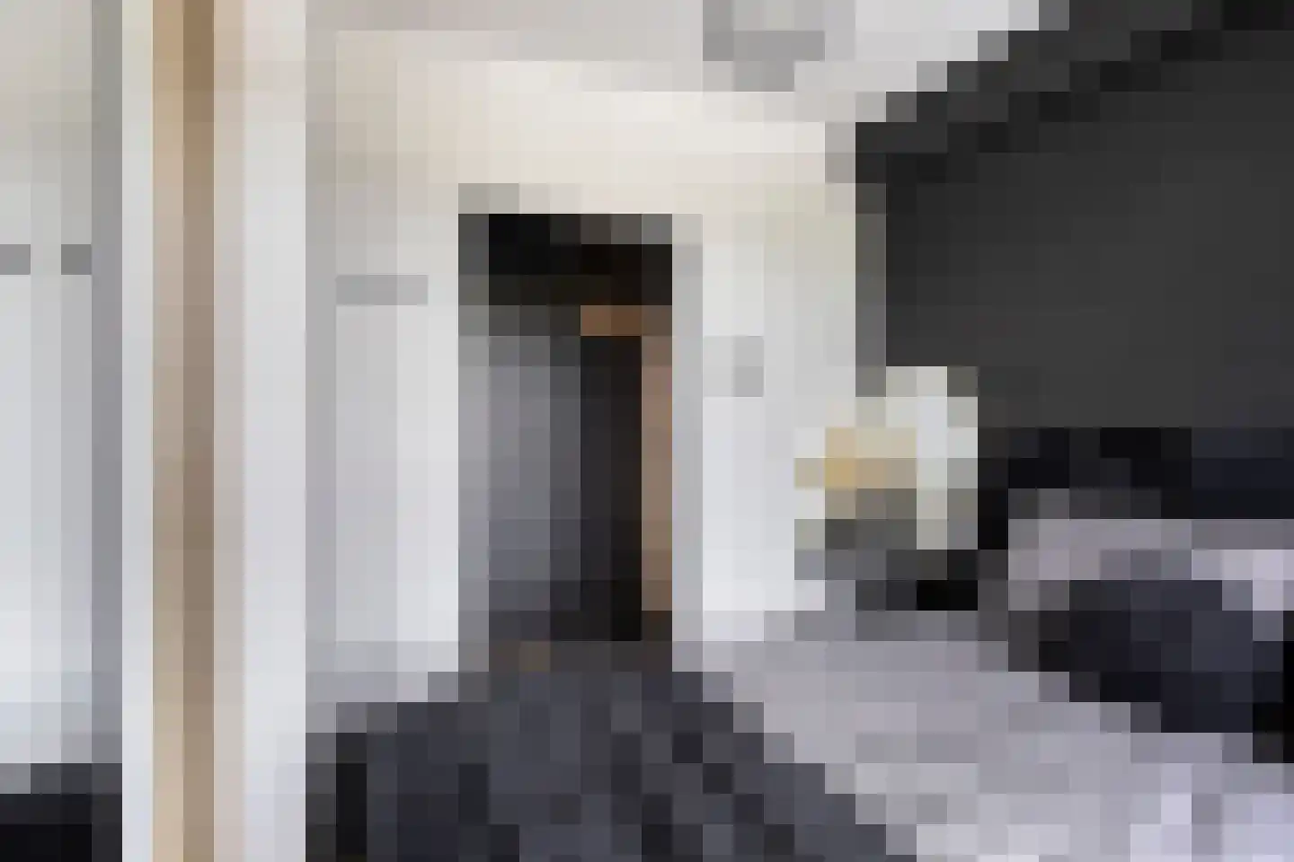 Wormerplein 101 Purmerend thumbnail 28