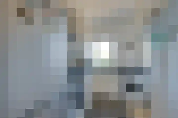 Wormerplein 103 Purmerend thumbnail 18