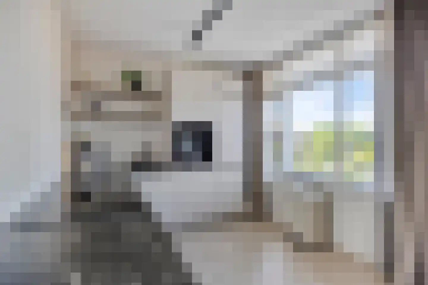Wormerplein 18 Purmerend thumbnail 9