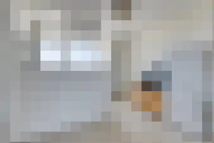 Wormerplein 24 Purmerend thumbnail 9