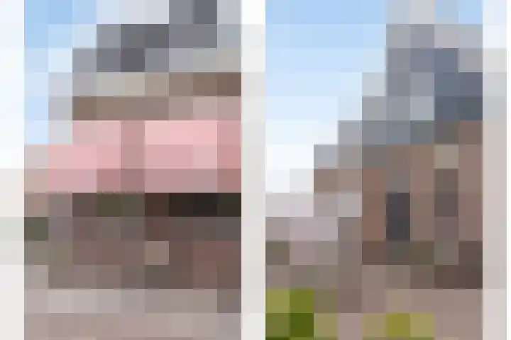 Wormerringdijk 7 Wormer thumbnail 42