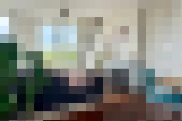 Wormerveerstraat 1 1 Amsterdam thumbnail 15
